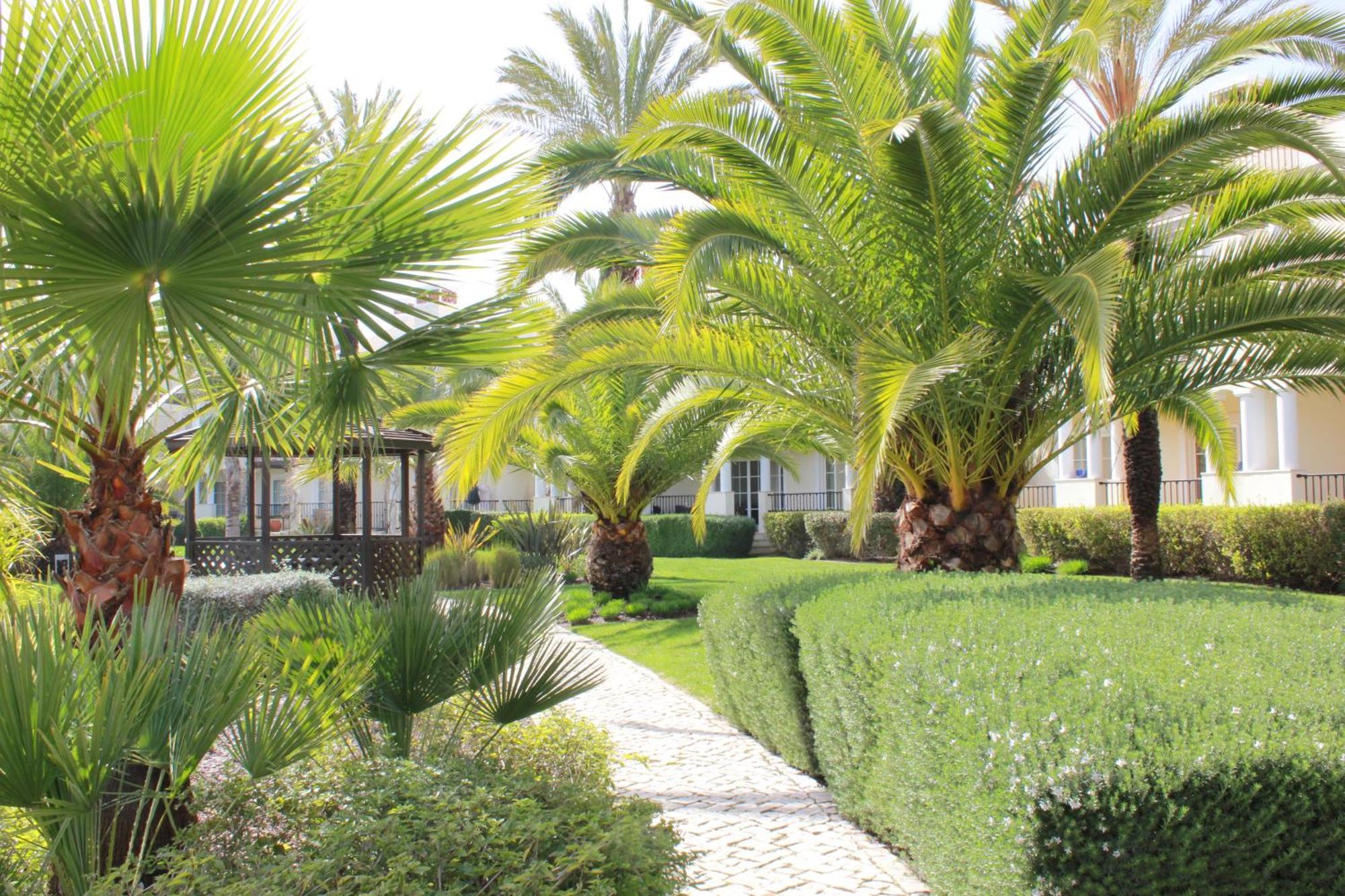 Luxury 3 Bedroom Apartment On Gated Complex Quarteira Exteriör bild